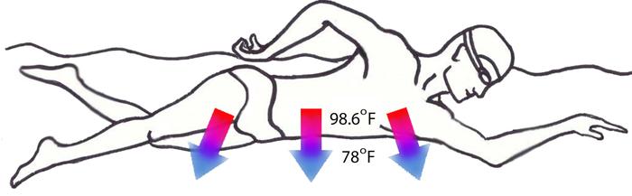 Due to the temperature difference between the body and the water, heat flows from the body to the water, burning many more calories than the exercise alone.