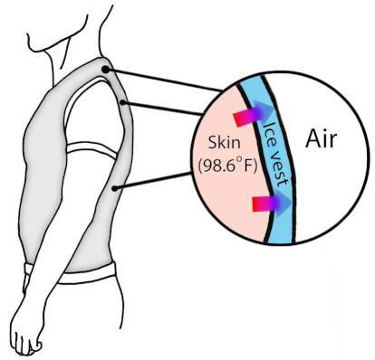 Due to the temperature difference between the body and the ice vest, heat flows from the body to the vest, causing your body to burn calories.